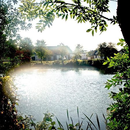 Spirit Of Hven Backafallsbyn Sankt Ibb Bagian luar foto